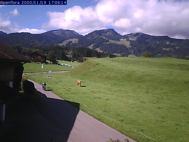 Webcam Fischen im Allgäu - West-Blick direkt von unserem Haus auf die Gipfel der Hörnergruppe - Fischen ist kurz vor Oberstdorf